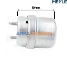 Right engine rubber mount...