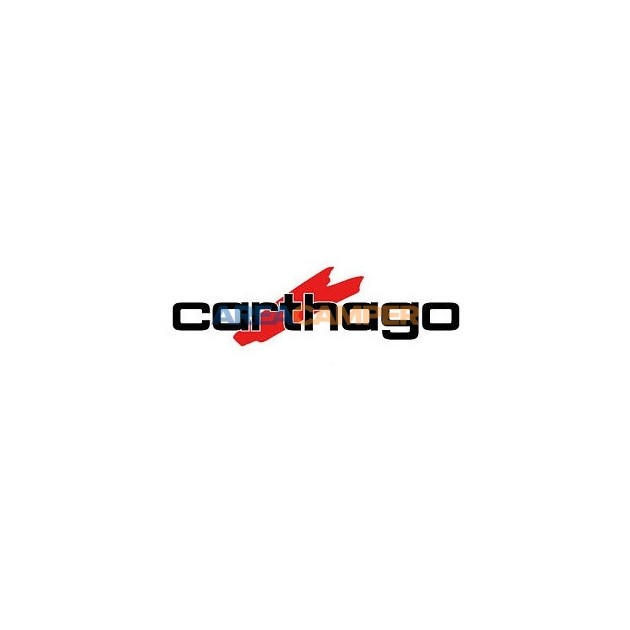 Vinilo Carthago